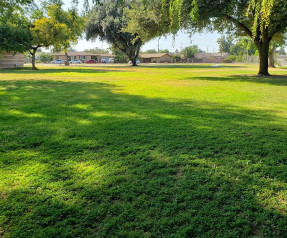 Image of C.F. Mueller Park park in Reedley, California, United States Image of C.F. Mueller Park park in reedley, california, united-states