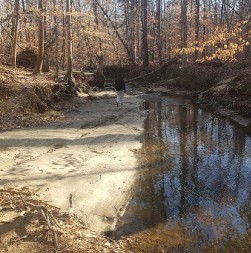 Image of Mine Creek Trail, Sawmill Rd Access, Greenway park in Raleigh, North Carolina, United States Image of Mine Creek Trail, Sawmill Rd Access, Greenway park in raleigh, north-carolina, united-states