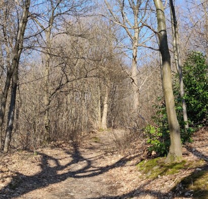 Image of Forêt domaniale de Verrières park in Verrieres-le-Buisson, Essonne, France Image of Forêt domaniale de Verrières park in verrieres-le-buisson, essonne, france