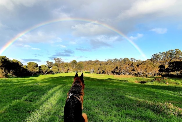 Kwoorabup Community Adventure Park | DogPack