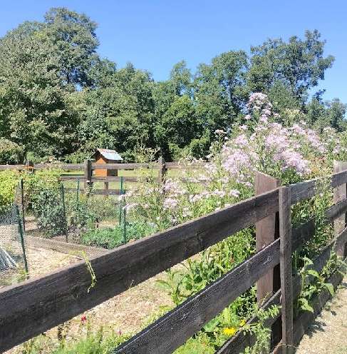 Image of The Cherokee Garden At Green Meadows Preserve park in Marietta, Georgia, United States Image of The Cherokee Garden At Green Meadows Preserve park in marietta, georgia, united-states