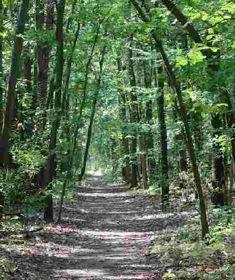 Image of Rector Community Park & Trails park in Kalamazoo, Michigan, United States Image of Rector Community Park & Trails park in kalamazoo, michigan, united-states