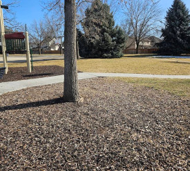 Image of Cottonwood Park park in Boise, Idaho, United States Image of Cottonwood Park park in boise, idaho, united-states