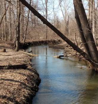 Image of Coffee Creek Watershed Preserve park in Chesterton, Indiana, United States Image of Coffee Creek Watershed Preserve park in chesterton, indiana, united-states