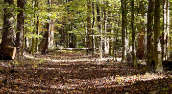 Image of Cabin Branch Trail park in Clarksburg, Maryland, United States Image of Cabin Branch Trail park in clarksburg, maryland, united-states