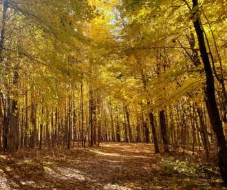 Image of Yellow Trail (MTB) park in Brighton, Colorado, United States Image of Yellow Trail (MTB) park in brighton, colorado, united-states