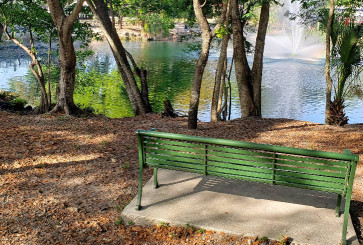 Image of Perrine Wayside Dog Park park in Palmetto Bay, Florida, United States Image of Perrine Wayside Dog Park park in palmetto-bay, florida, united-states
