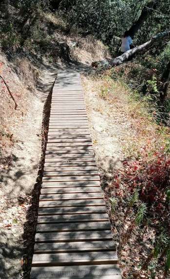 Image of Water Dog Lake South Trailhead park in Belmont, California, United States Image of Water Dog Lake South Trailhead park in belmont, california, united-states