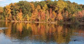 Image of Waverly Park park in Louisville, Colorado, United States Image of Waverly Park park in louisville, colorado, united-states