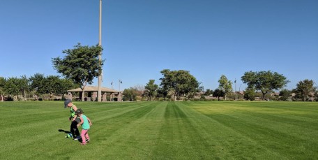 Image of Anthem at Merrill Ranch, Florence, AZ park in Florence, Alabama, United States Image of Anthem at Merrill Ranch, Florence, AZ park in florence, alabama, united-states