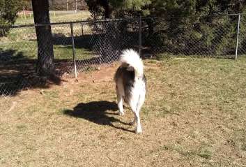 Image of Heritage Forest Dog Park park in centreville, virginia, united-states
