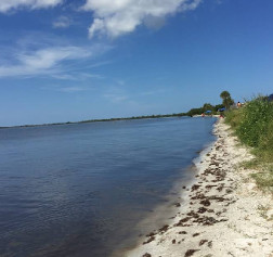 Image of Parrish Park Brevard County Parks & Recreation park in Titusville, Florida, United States Image of Parrish Park Brevard County Parks & Recreation park in titusville, florida, united-states