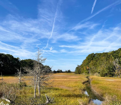 Image of Shoreline Greenway Trail Eastern Trailhead park in Madison Center, Connecticut, United States Image of Shoreline Greenway Trail Eastern Trailhead park in madison-center, connecticut, united-states