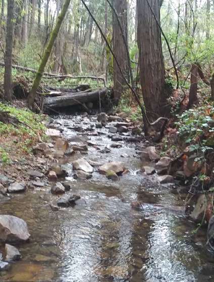 Image of Wolf Creek Trail park in Grass Valley, California, United States Image of Wolf Creek Trail park in grass-valley, california, united-states