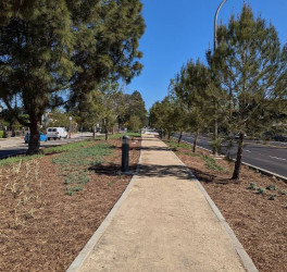 Image of Culver Blvd Pathway Sculpture Park park in Culver City, California, United States Image of Culver Blvd Pathway Sculpture Park park in culver-city, california, united-states