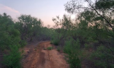 Image of Midland Mountain Bike Trails park in Midland, Michigan, United States Image of Midland Mountain Bike Trails park in midland, michigan, united-states