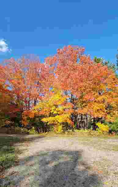 Image of Heintzman Trail park in Vaughan, Ontario, Canada Image of Heintzman Trail park in vaughan, ontario, canada