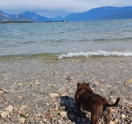 Image of Fido beach park in Provincia di Brescia, Lombardia, Italy Image of Fido beach park in provincia-di-brescia, lombardia, italy