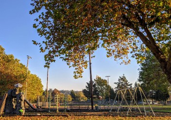 Image of Newburg Park park in Fortuna, California, United States Image of Newburg Park park in fortuna, california, united-states