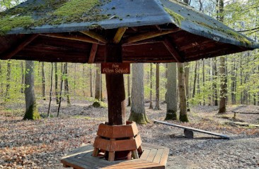 Image of Walderlebnispfad Palmbachtal park in Darmstadt, Hessen, Germany Image of Walderlebnispfad Palmbachtal park in darmstadt, hessen, germany