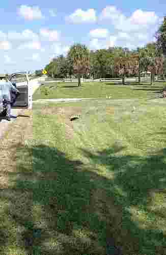 Image of Skip Stasko Park park in Venice, California, United States Image of Skip Stasko Park park in venice, california, united-states