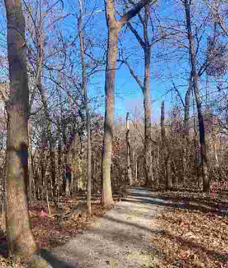 Image of Ruth Park Nature Trail park in St. Louis, Michigan, United States Image of Ruth Park Nature Trail park in st-louis, michigan, united-states