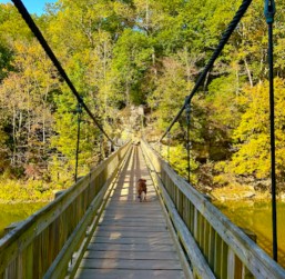 Image of Turkey Run State Park park in Marshall, California, United States Image of Turkey Run State Park park in marshall, california, united-states