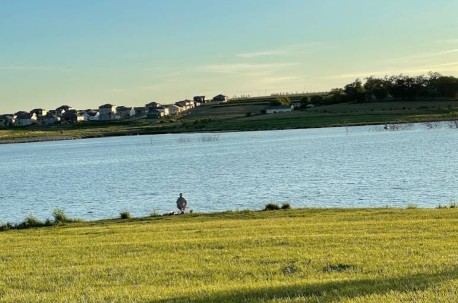 Image of Flanagan Lake Park park in Omaha, Nebraska, United States Image of Flanagan Lake Park park in omaha, nebraska, united-states