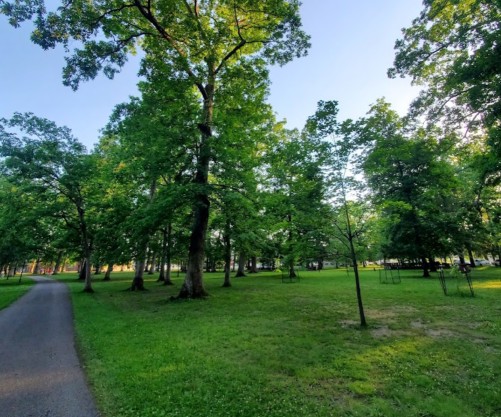 Image of Elkins City Park park in Elkins, West Virginia, United States Image of Elkins City Park park in elkins, west-virginia, united-states