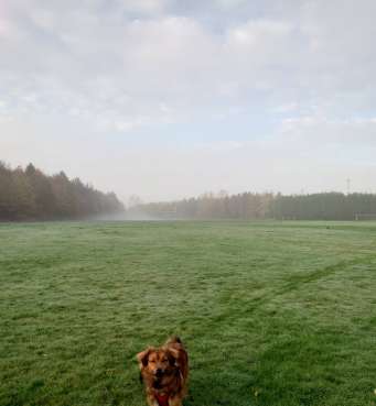 Image of Craik Park park in Morpeth, Northumberland, United Kingdom Image of Craik Park park in morpeth, northumberland, united-kingdom