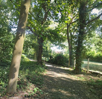 Image of Forêt Le Grand-Quevilly park in Le Grand-Quevilly, Seine-Maritime, France Image of Forêt Le Grand-Quevilly park in le-grand-quevilly, seine-maritime, france