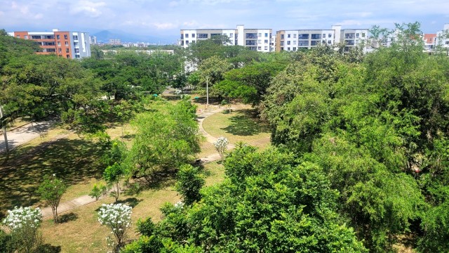 Image of Parque Principal Bochalema park in Cali, Valle del Cauca, Colombia Image of Parque Principal Bochalema park in cali, valle-del-cauca, colombia