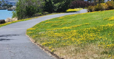 Image of San Francisco Bay Trail, South San Francisco, CA 94080 park in South San Francisco, California, United States Image of San Francisco Bay Trail, South San Francisco, CA 94080 park in south-san-francisco, california, united-states