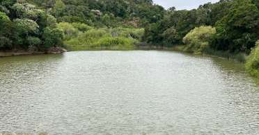 Image of Waterdog Lake & Open Space park in Belmont, California, United States Image of Waterdog Lake & Open Space park in belmont, california, united-states