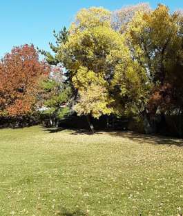 Image of Forest Green Park park in Ogden, Utah, United States Image of Forest Green Park park in ogden, utah, united-states