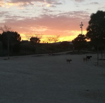 Image of Canino San Jerónimo Park park in Petrer, Alacant, Spain Image of Canino San Jerónimo Park park in petrer, alacant, spain