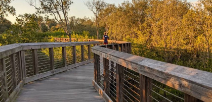 Image of Safety Harbor Nature Boardwalk park in Safety Harbor, Florida, United States Image of Safety Harbor Nature Boardwalk park in safety-harbor, florida, united-states