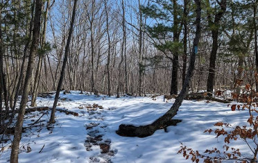 Image of Ragged Mountain Trailhead park in Berlin, Maryland, United States Image of Ragged Mountain Trailhead park in berlin, maryland, united-states