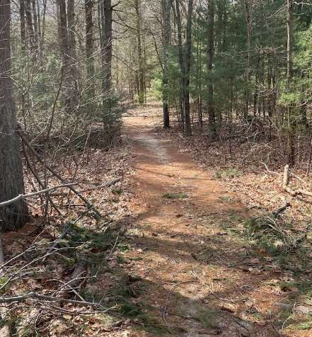 Image of West Hills Preserve Trail Head park in Melville, New York, United States Image of West Hills Preserve Trail Head park in melville, new-york, united-states