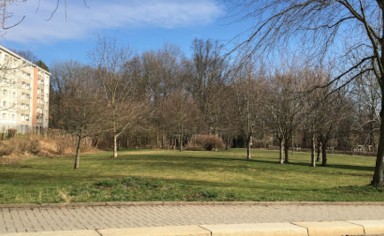 Image of Hundewiese park in Chemnitz, Sachsen, Germany Image of Hundewiese park in chemnitz, sachsen, germany