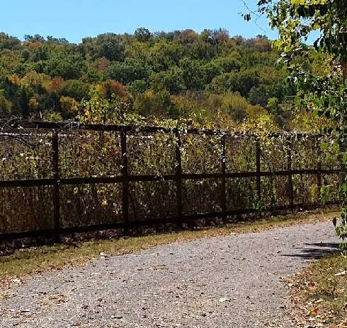 Image of Whites Creek Greenway Trailhead park in Nashville, Indiana, United States Image of Whites Creek Greenway Trailhead park in nashville, indiana, united-states