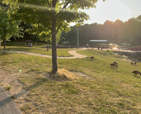 Image of Centennial Park Pavilion F park in Ellicott City, Maryland, United States Image of Centennial Park Pavilion F park in ellicott-city, maryland, united-states