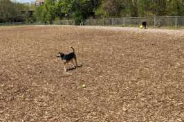 Image of Franklin Terrace Off-Leash Dog Park park in Minneapolis, Kansas, United States Image of Franklin Terrace Off-Leash Dog Park park in minneapolis, kansas, united-states
