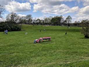 Image of Wellington Park park in Lexington, Kentucky, United States Image of Wellington Park park in lexington, kentucky, united-states