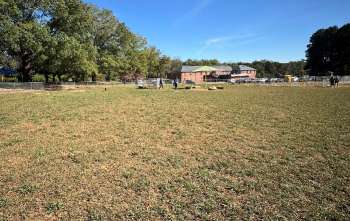 Image of Dog Park at Dorothea Dix Park park in Raleigh, North Carolina, United States Image of Dog Park at Dorothea Dix Park park in raleigh, north-carolina, united-states