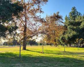 Image of Whittier Narrows Park park in South El Monte, California, United States Image of Whittier Narrows Park park in south-el-monte, california, united-states