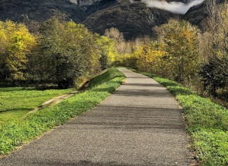 Image of Parco della Bosca park in Morbegno, Lombardia, Italy Image of Parco della Bosca park in morbegno, lombardia, italy