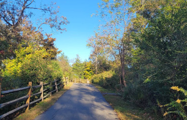 Image of Piedmont Medical Center Trail - Celriver Road Access park in Rock Hill, South Carolina, United States Image of Piedmont Medical Center Trail - Celriver Road Access park in rock-hill, south-carolina, united-states