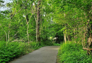 Image of Raynor Beach County Park park in Lake Ronkonkoma, New York, United States Image of Raynor Beach County Park park in lake-ronkonkoma, new-york, united-states