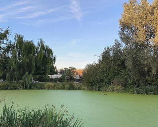 Image of Parc de l'Eau park in Ollainville, Grand Est, France Image of Parc de l'Eau park in ollainville, grand-est, france